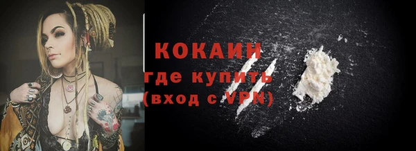 МДПВ Каменка
