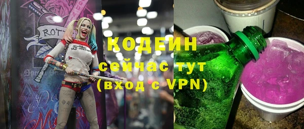 МДПВ Каменка