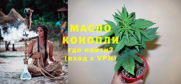 МДПВ Каменка