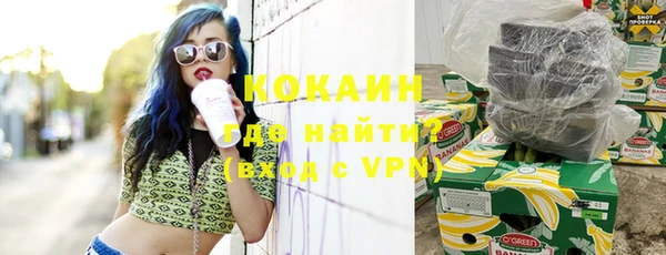 МДПВ Каменка