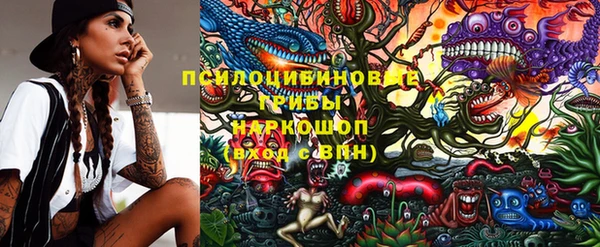 МДПВ Каменка