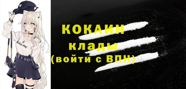 твердый Каменск-Шахтинский