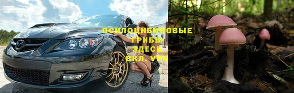 твердый Каменск-Шахтинский