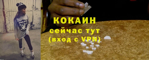 МДПВ Каменка