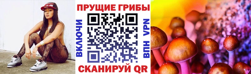 Галлюциногенные грибы мицелий  Стародуб 
